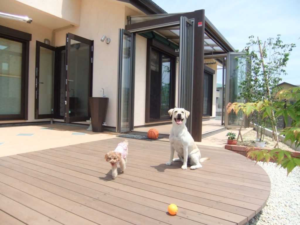 ワンちゃんたちの楽園　　大津市