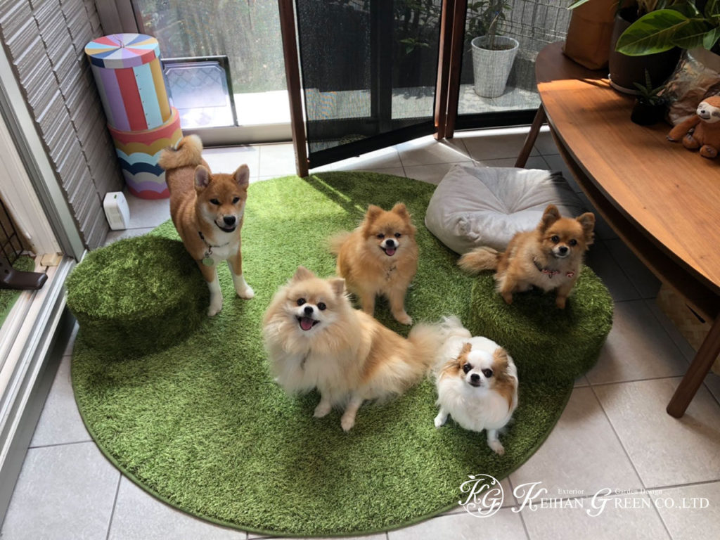 ワンちゃんのためのガーデンルーム　京都市