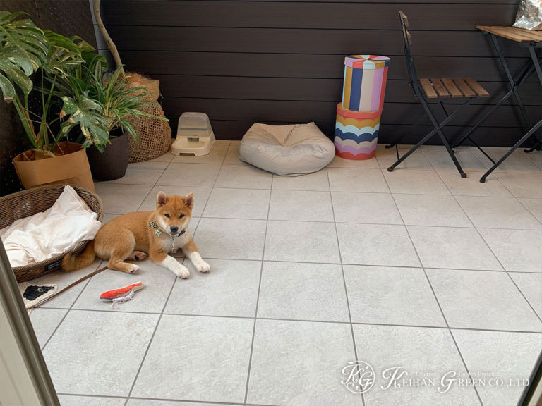 ワンちゃんのためのガーデンルーム　京都市