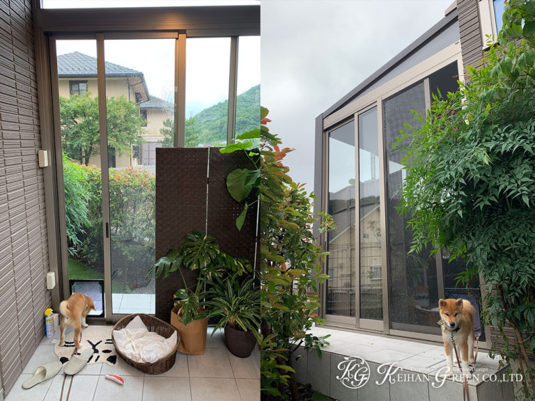 ワンちゃんのためのガーデンルーム　京都市