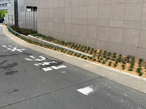 山科東野シティホールの植栽工事へ行ってきました