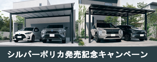 シルバーポリカ発売記念キャンペーン